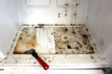 Clean the Inside of Your Refrigerator 